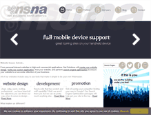 Tablet Screenshot of netsolutionsna.com